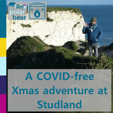 A COVID-free Christmas adventure at Studland | iamapolarbear.com