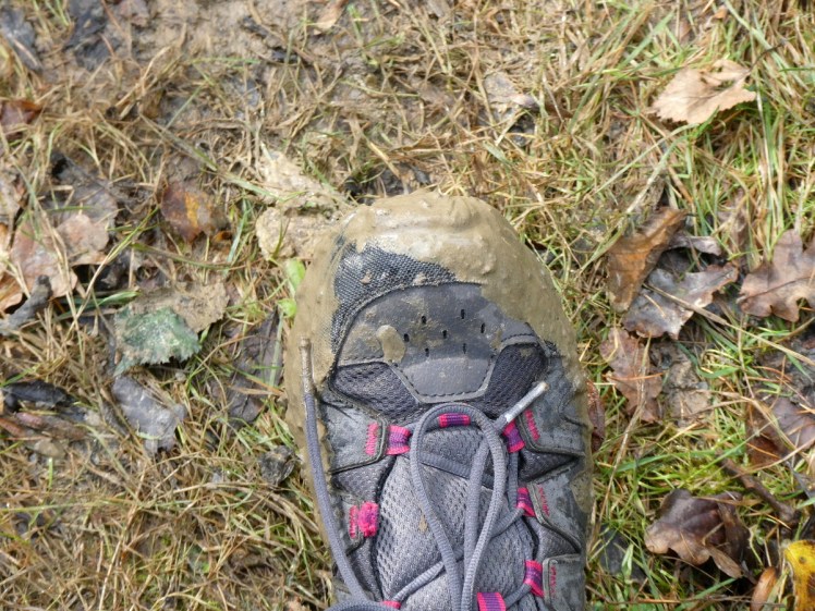 A shoe covered in sloppy yellow-brown mud