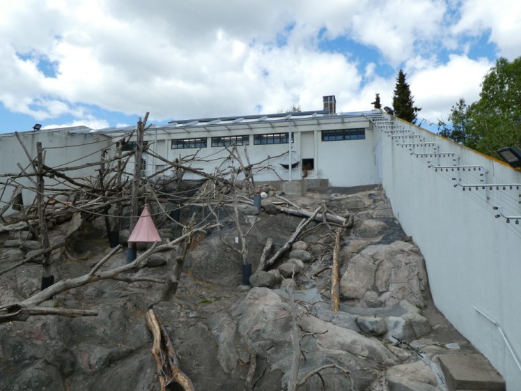 Monkey Castle, an outdoor area on a steep bit of hillside with a large house inside behind the hill and lots of branches and rocks to play on.