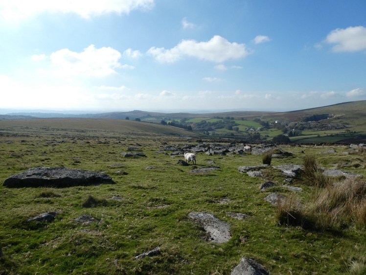 Merrivale settlement remains