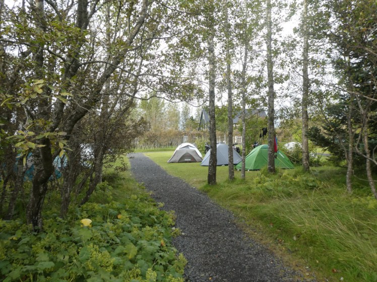 Tents pitched on nice green grass either side of a neat gravel path. They're separated from the kitchen/reception/car park by some trees. Behind them all is a house, also half-hidden behind trees.
