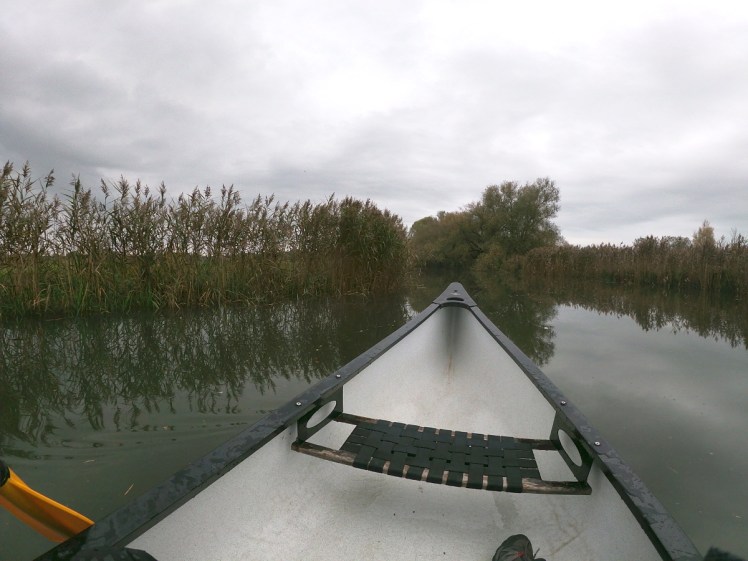 Blurry boundaries between river and bank