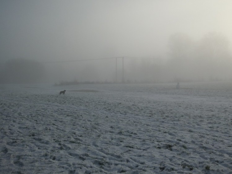 A snowy field in the mist. To the right, a short squat snowman is just visible against the greyish background. To the left, a dog is barking furiously at it.