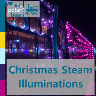 Steam Illuminations on the Watercress Line | iamapolarbear.com