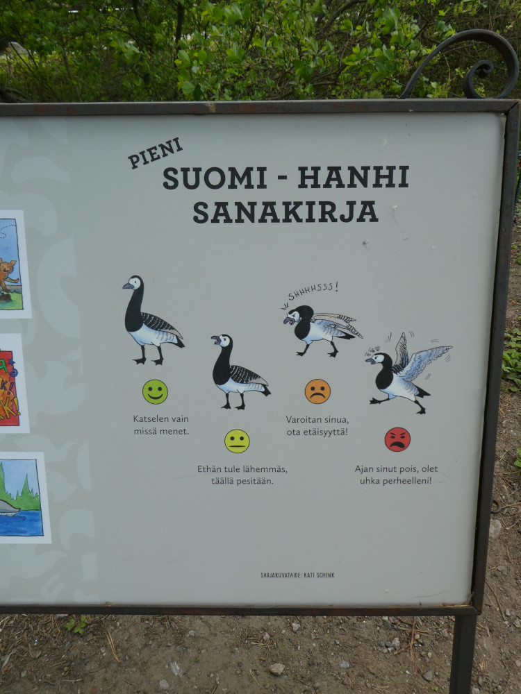 A Goose to Finnish translation infographic, showing four barnacle geese and translating their behaviour in each to a few words in Finnish and a smiley or angry face going from green down to red to show how angry the goose is in each.