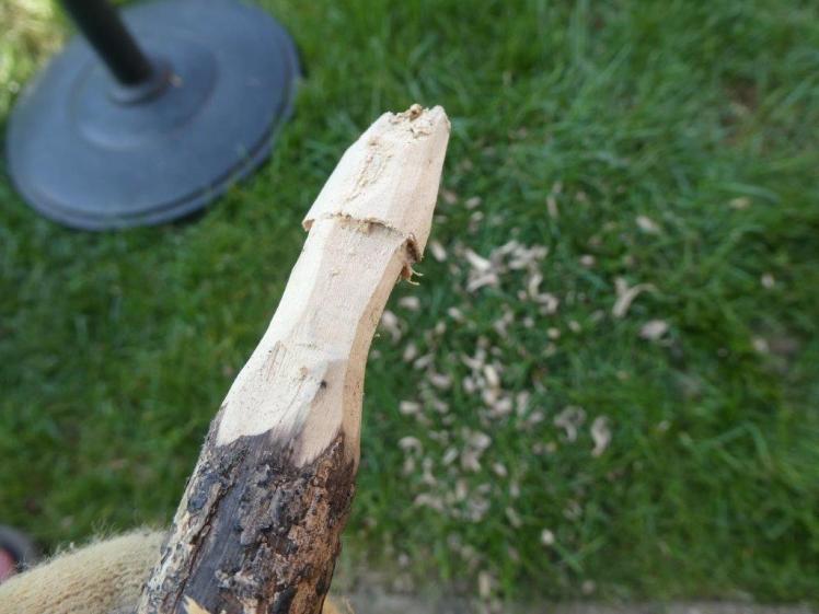 A troll in the process of being whittled. The knob on the end is about to split and the pointy hat needs a lot of smoothing.