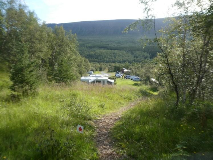 Looking down through some trees at a campsite in a valley below.