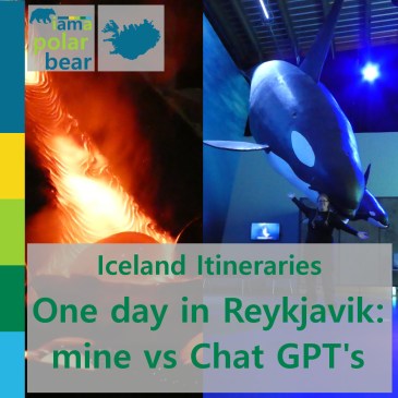 Iceland Itineraries: one day in Reykjavik, mine vs Chat GPT's | iamapolarbear.com