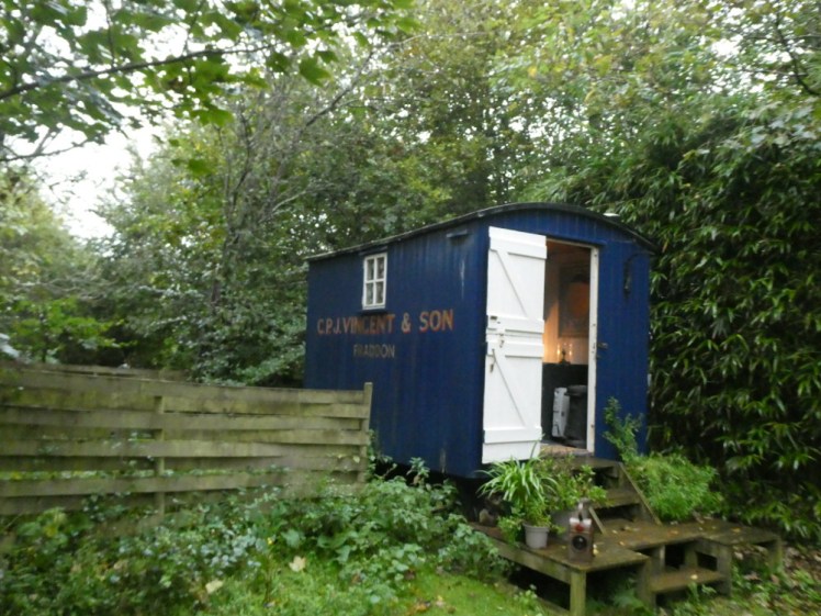 Pip, my sleeping wagon