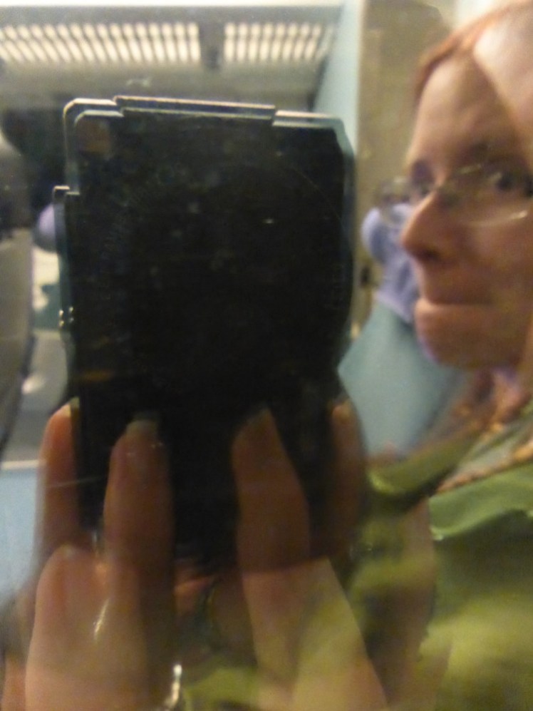 A selfie, taken in the reflection of a train window in the dark. I'm blurry because a) reflection and b) motion but you can see my phone, that I'm wearing a green jacket and that I have slightly redder hair than usual.