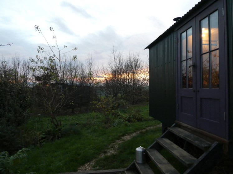 Forager & Artisan at sunset