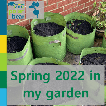 Spring 2022 in my garden | iamapolarbear.com
