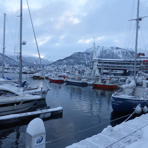 33223569952_9868f77054_k