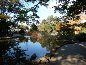 Margaret Island, the Japanese garden with a pond reflecting the blue sky and surrounded by trees of various colours.