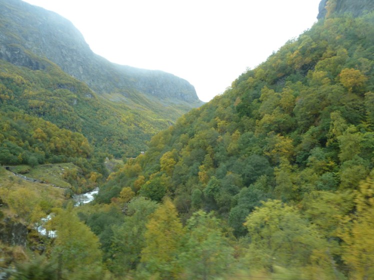 Scenery along the Flåmsbana