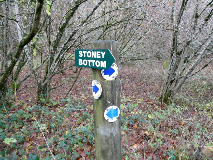 Blue foothpath marker arrows