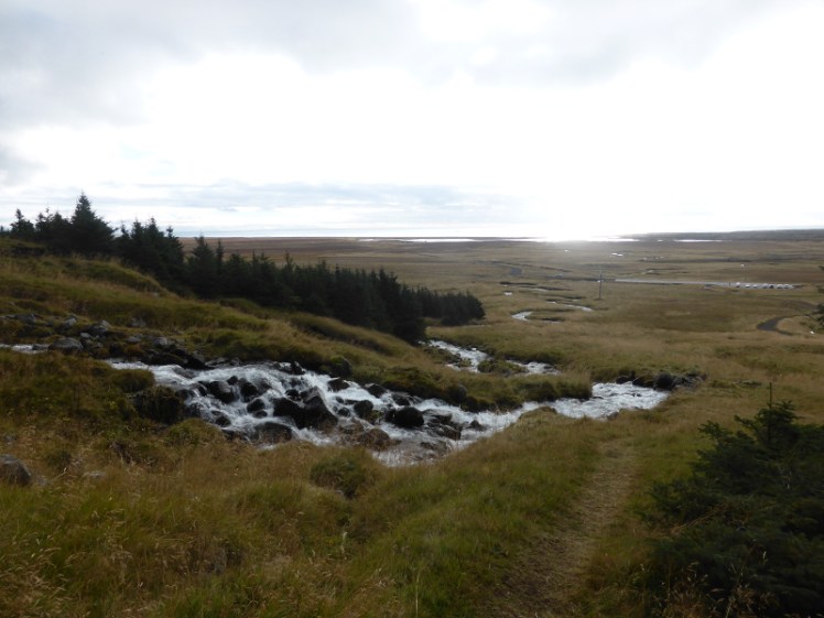 The view down to the sea from Bjarnarfoss