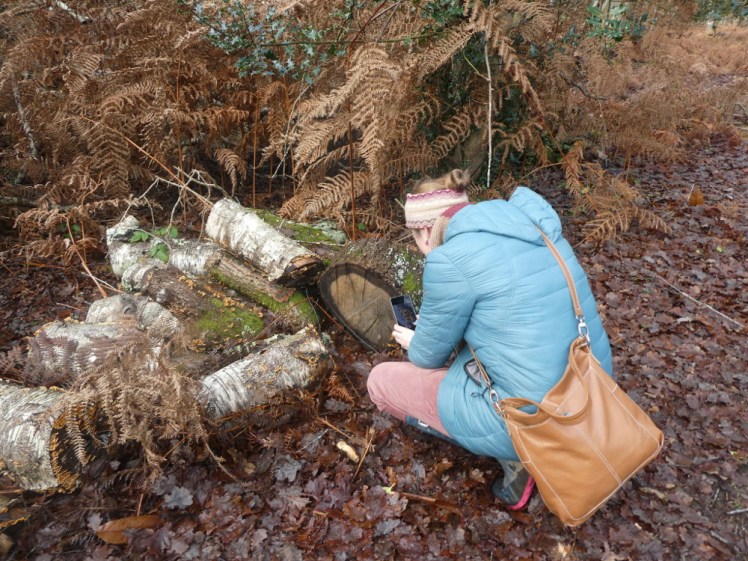 Catherine crouching over a log, taking photos of fungus.