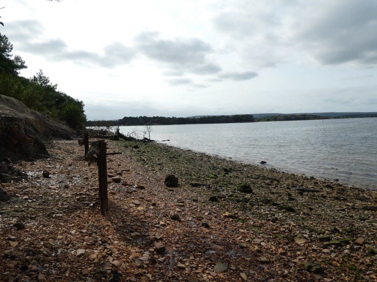 Brownsea Pottery Beach