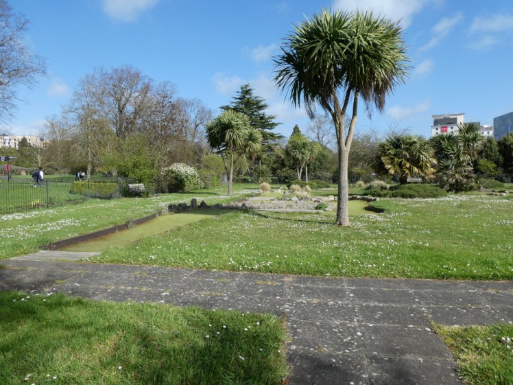 The minigolf course, with a random palm tree in the middle of grass that looks reasonably well-tended but covered in daisies. The course is very much closed and looks like it has been for a while.