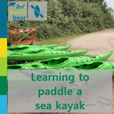 Learning to paddle a sea kayak
