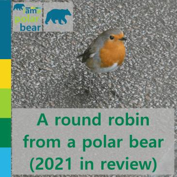 A round robin from a polar bear (2021 in review) | iamapolarbear.com