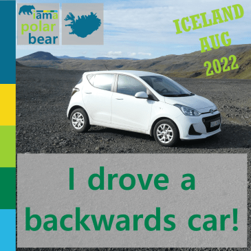 I drove a backwards car! | iamapolarbear.com