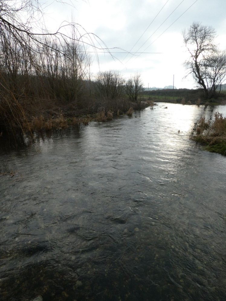 Would you drive your car through this ford?