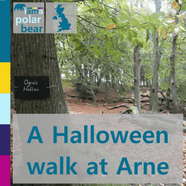 A Halloween walk at RSPB Arne | iamapolarbear.com