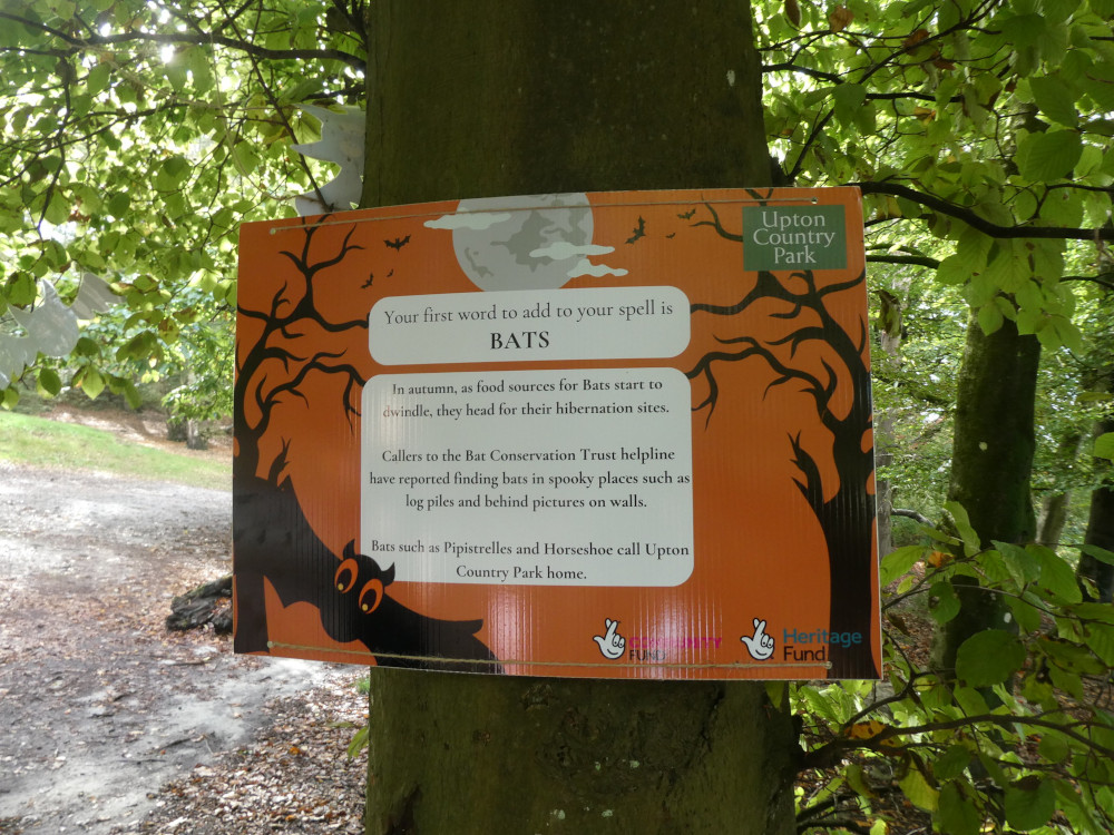 The first marker on the Halloween trail: an orange sign with tree silhouettes on the sides. In the middle it says that the first thing is BATS and gives some information about bats.