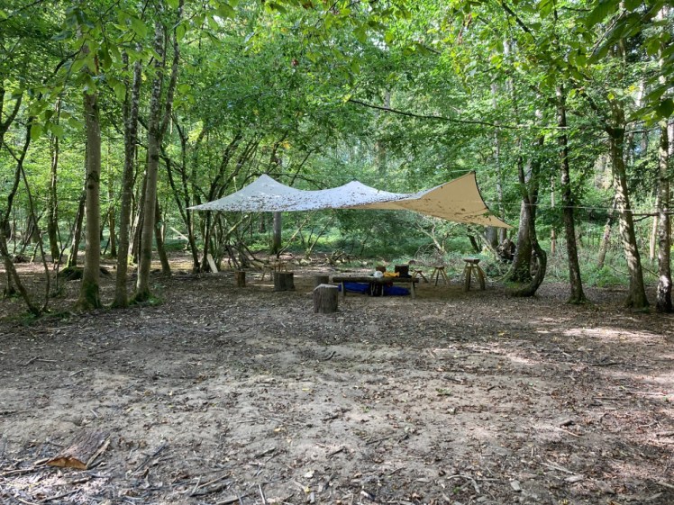 Bushcraft carving camp