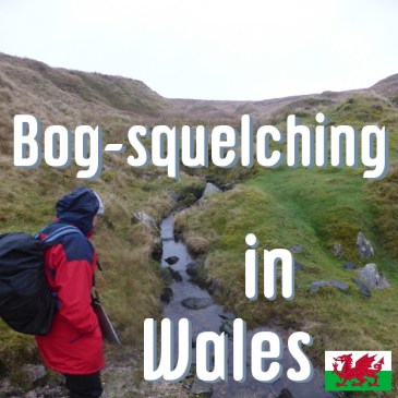 Bog-squelching in Wales header pic