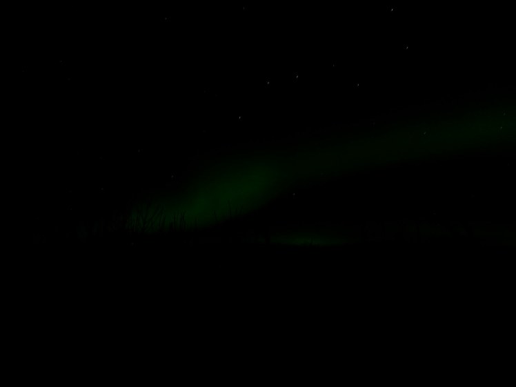 Northern Lights near Rovaniemi