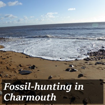 Charmouth title pic