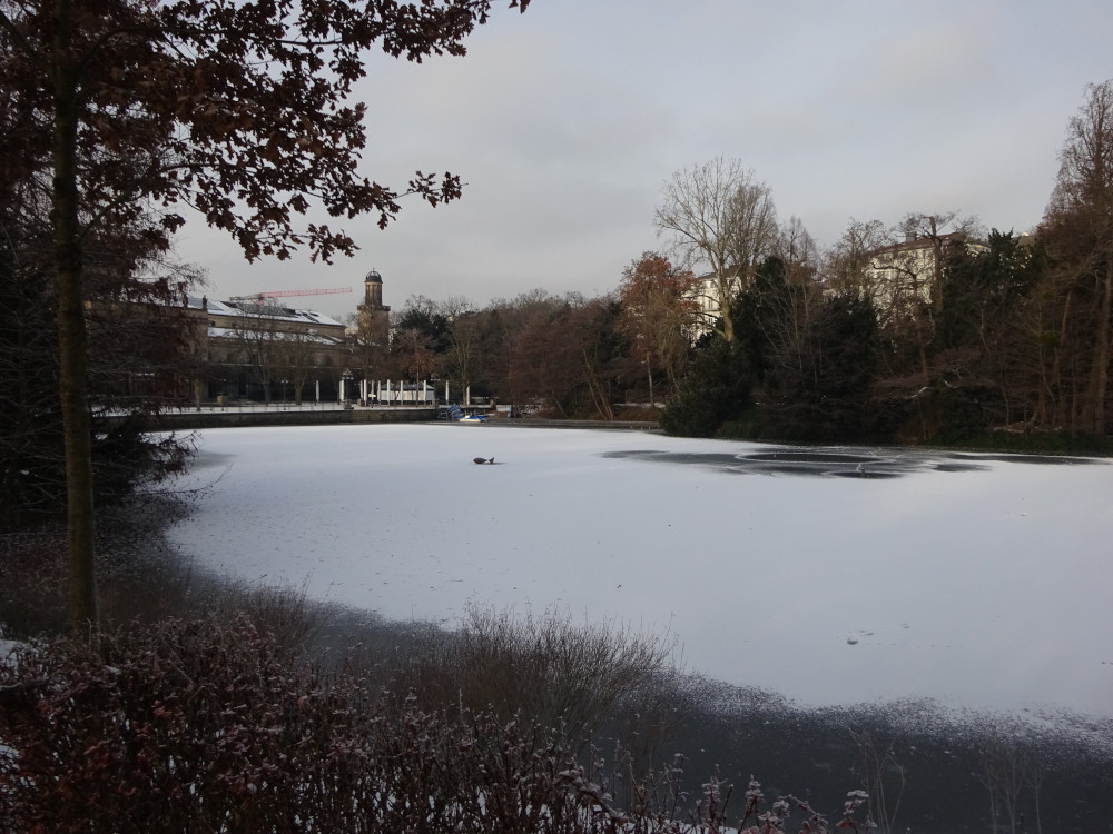 A frozen boating lake surrounded by trees. You can just make our the Baroque building at the head of it.