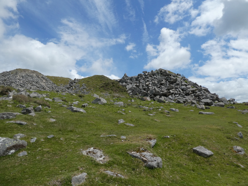 Leeden Tor from the north-east