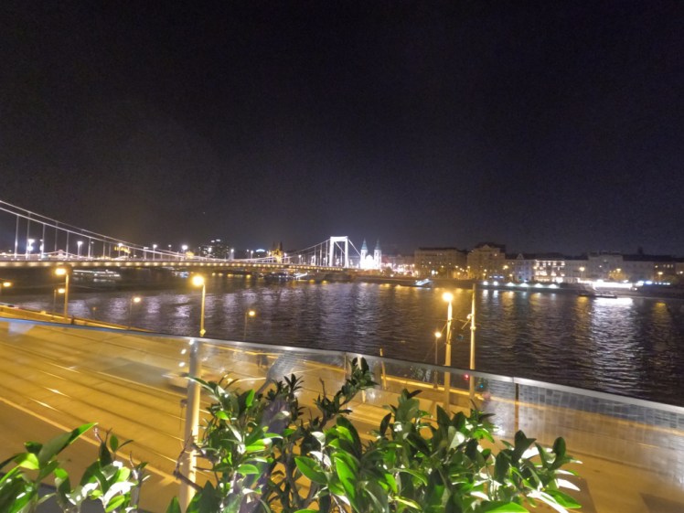 A view north from the hot tub, with the road below quite prominent, the river behind it, a bridge lit up in white across and a church just about visible on the other side.
