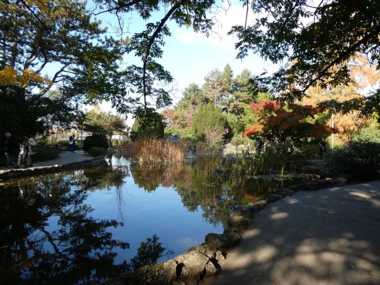 A pond in the middle of the Japanese garden at the north end of Margaret Island, surrounded by trees in various shades of green and red.