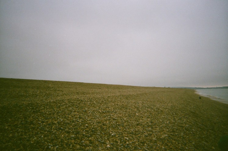 A stretch of green-tinted yellow shingle low on the side of Hurst Spit where we collected hagstones.