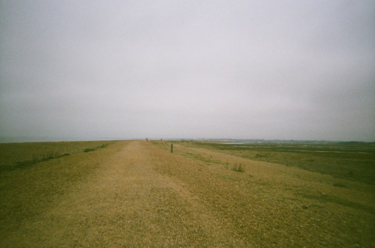 A green-tinted 35mm film photo of the top of Hurst Spit, a shingle spit stretching out into the distance. The top is quite well flattened and people have left rough trails on it.