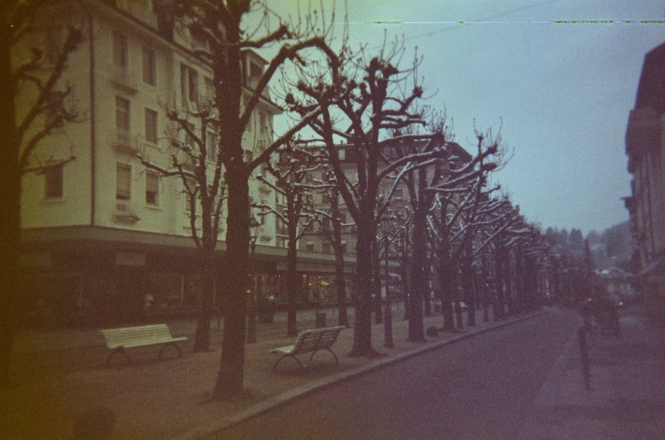 A street with bare trees down the middle of it. The colours are weird but the picture itself is a bit dark and muted.