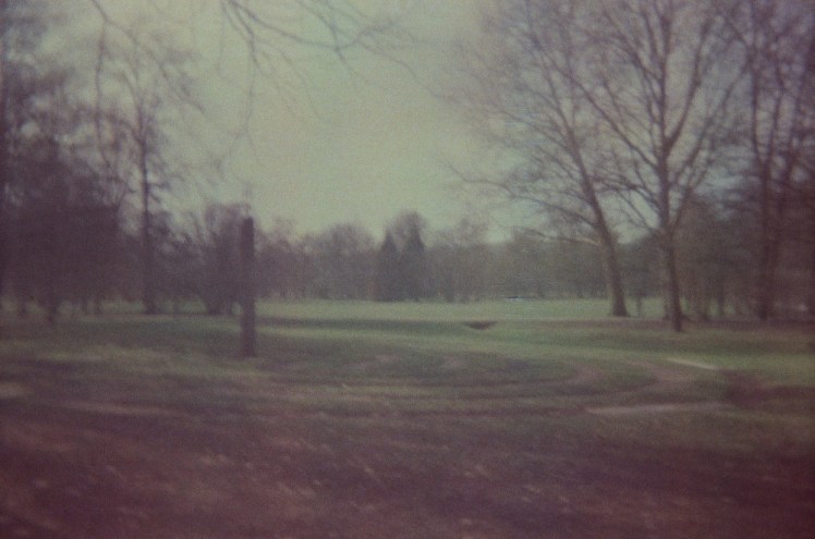 A very hazy grey-green tinted photo of a park. You can just make out the texture of the barefoot trail on the left.
