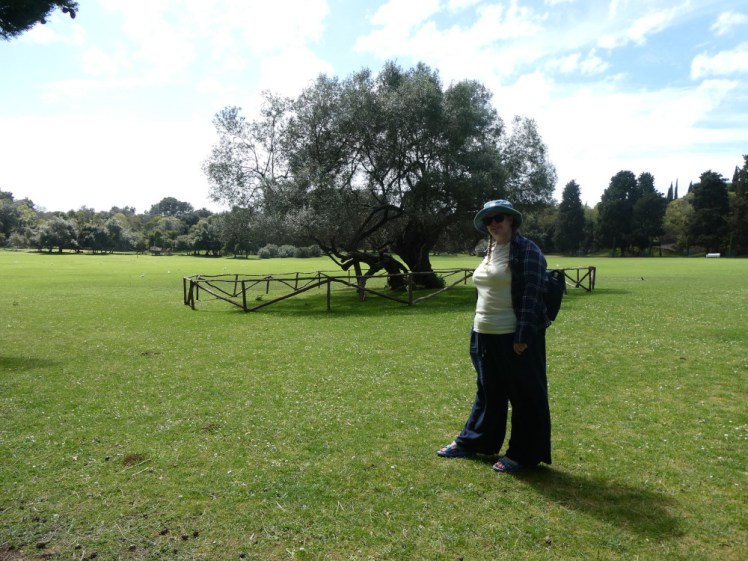 A timer selfie in front of the ancient olive tree, which is a little wider than it is tall. I'm wearing wide-legged navy trousers, a pale yellow t-shirt, a navy checked shirt open over it and a denim bucket hat.