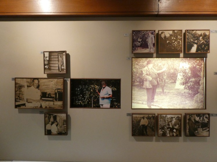 A collection of photos mounted on a wall, of various shapes, sizes and colour, showing Marshall Tito out and about on the Brijuni Islands.