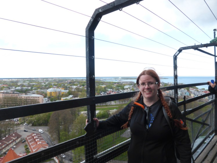 A picture of me on the spire of a church in Tallinn, protected from a long fall by a fence and chicken wire. This is 2015 and I've already got my hair in my signature plaits, although they're a bit redder than they are nowadays. I'm trying not to look deeply uncomfortable with the height but take a look at my hand on the fence.