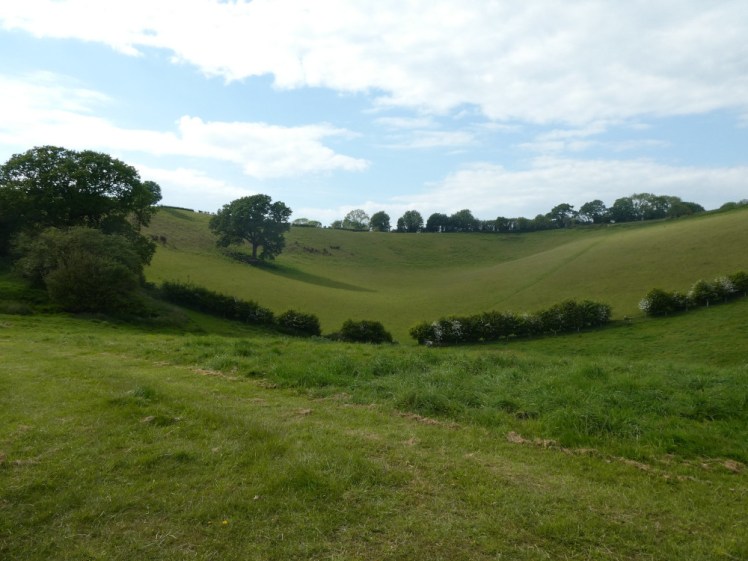 My view on the other side, a bowl-shaped hill. You can't see pitch 10 down in the bottom of the bowl from this angle.