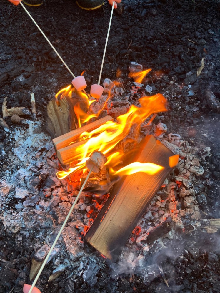 Three marshmallows being toasted over the campfire, which has some extra logs added so the Guides can have flames, even though that's not the best way to cook a marshmallow.