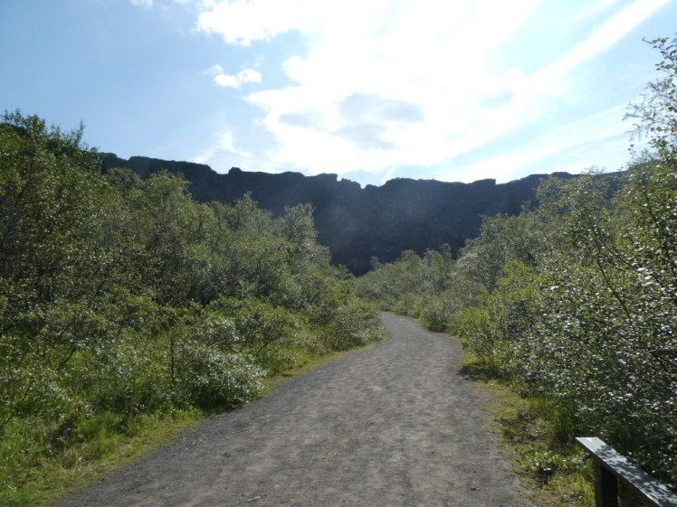 A gravel path through a bit of typical Icelandic low-level birch wood. Behind it is a cliff, looming and almost silhouetted. It continues beyond both edges of the photo and comes round until it's almost behind me, behind the camera, on both sides and continues for a good couple of hundred metres before stopping abruptly.