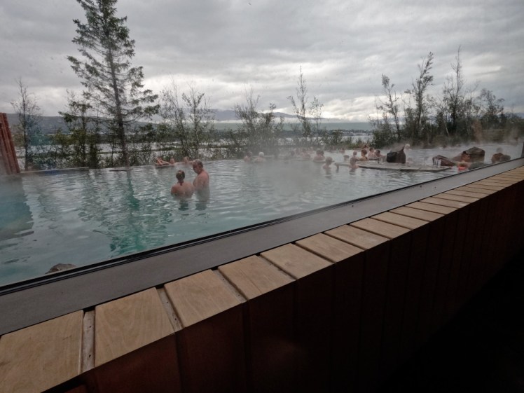 The Forest Lagoon as seen from its sauna, which is slightly raised above the water and with a big window. The lagoon itself is quite long and thin, screened from the fjord and city by a thin line of trees and there are people with drinks leaning against anything that can be leaned against - mostly the outer wall but also the stepping stones that let the staff get across to the bar without getting wet.