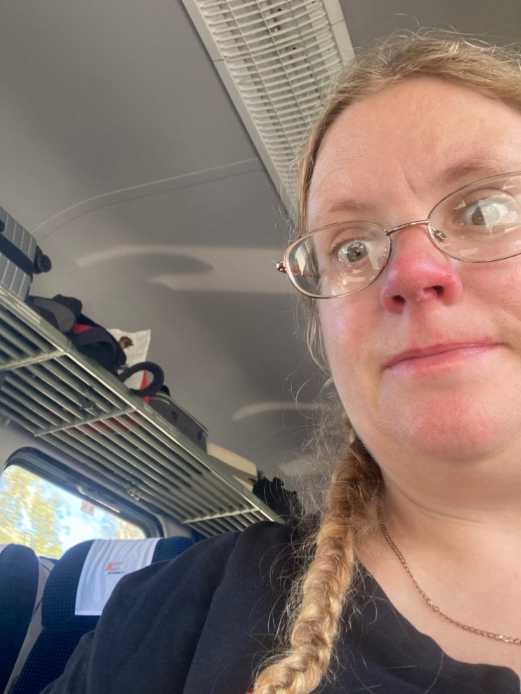 A really bad selfie taken from a "don't notice me taking selfies" angle on the train.